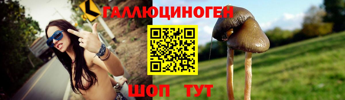 Карачаевск  Галлюциногенные грибы Cubensis  Вход с VPN  Псилоцибиновые грибы Psilocybine cubensis 