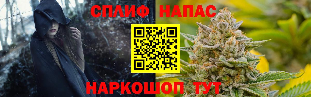 Бошки марихуана OG Kush Карачаевск